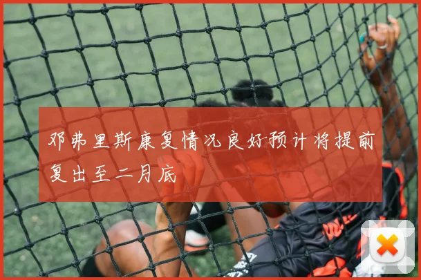 邓弗里斯康复情况良好预计将提前复出至二月底