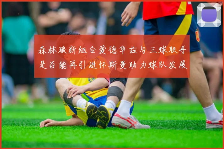 森林狼新组合爱德华兹与三球联手是否能再引进怀斯曼助力球队发展