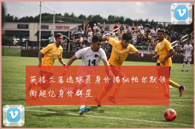 英格兰落选球员身价揭秘帕尔默领衔超亿身价群星